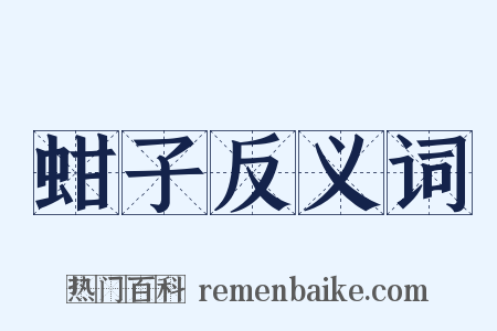 蚶子反义词是什么意思的图片